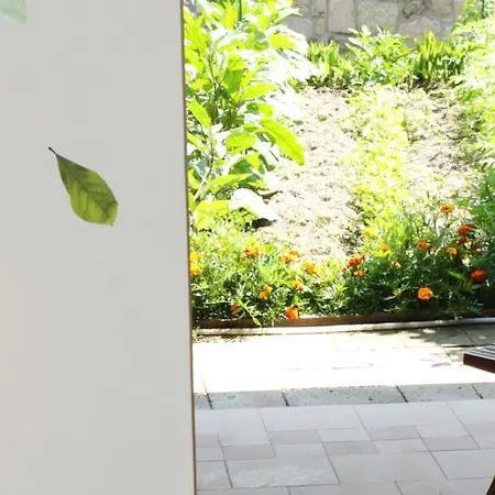 לינה וארוחת בוקר Chez Chantal *