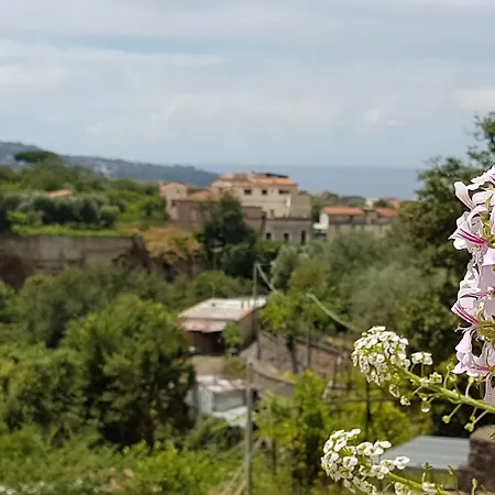 לינה וארוחת בוקר Chez Chantal